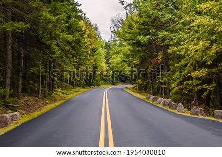 Road through Acadia National Park, Maine, New England, USA, North America Royalty-Free Stock Photo #1954030810