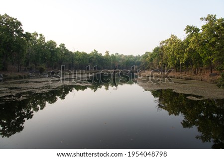 Water bodies and thick forest in Kanha National Park India.
