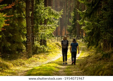 Early spring - a backpacking walk through a beautiful green forest - Poland, Warmia and Masuria Royalty-Free Stock Photo #1954071967