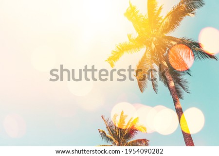 Tropical palm tree with sun light on sunset sky and cloud with colorful bokeh abstract background. Summer vacation and nature travel adventure concept. Vintage tone filter effect color style.