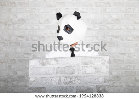 Man in panda mask with a roll of wallpaper