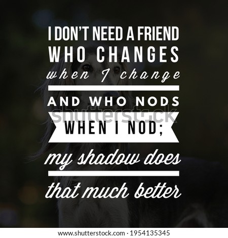 Best motivational, inspirational, emotional and friends quote on the abstract background. I don’t need a friend who changes when I change and who nods when I nod; my shadow does that much better.