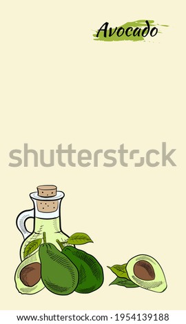 Vector hand drawn avocado and slices set. Avocado oil bottle sketch. Sketch of a whole avocado, sliced ​​and leaves. Botanical illustration of avocado. Juicy tropical fruits. 