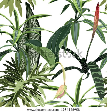 Hand drawn seamless tropical floral pattern with red guzmania flowers and many kind of tropical leaves. Exotic hawaiian fabric design on white background. Royalty-Free Stock Photo #1954146958