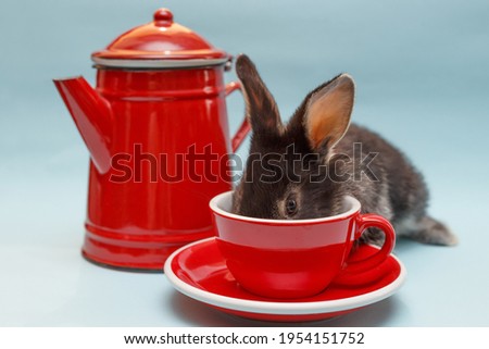 red teapot, cup and little rabbit on a blue background
