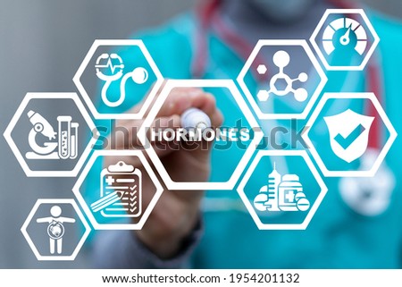 Medical concept of hormones. Hormonal therapy. Human healthy hormone balance. Royalty-Free Stock Photo #1954201132