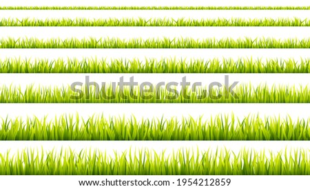 Grass banner. Cereal sprouts. Springtime growth greenery. Green turf overlay stripes