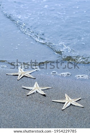 Starfish and soft wave on the sandy beach summer tropical concept. Starfish in beach for wallpaper.