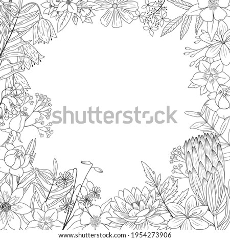 Wild flowers vector drawing set. background with hand drawn wild herbs, flowers and leaves