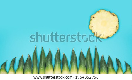 Happy minimalistic summer background with sun and gras on turquoise sky made by fresh pineapple