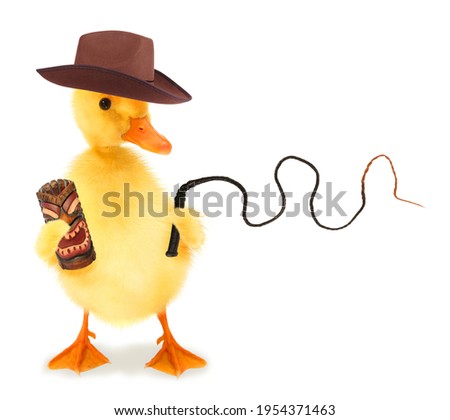 Cute cool duckling adventurer duck explorer with fedora hat and whip funny conceptual image