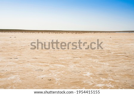 Saline. Salt on the surface of the earth. Dried up sea. Saline soil texture. Drought. Cracks in the soil surface. Desert. Salty soil.  Desert Plants Royalty-Free Stock Photo #1954415155