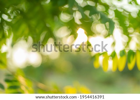 A lot of blurred green leaves