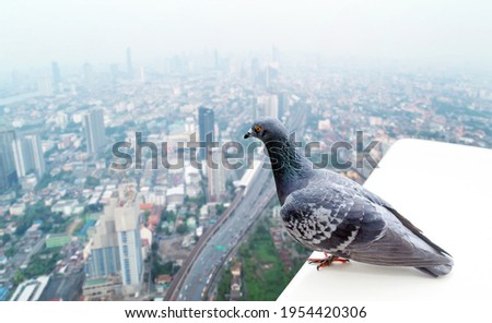 bird eye view from top to wach cityscape from high building to stying in urban
