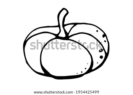 pumpkin, black outline drawn by pen, vector