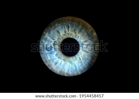 Macro shot of a human female eye, iris, cropped on black background, usable as creative background Royalty-Free Stock Photo #1954458457