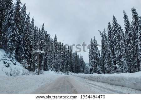 Beautiful natural winter landscape, stunning mountain views.The concept of tourism.Idyllic view of spruces covered in snow.