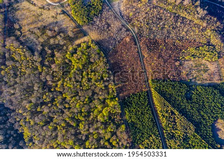 Aerial view of Landscape showing deciduous and spruce forest management in, Belgium, Near Orval Royalty-Free Stock Photo #1954503331