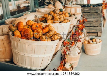 Colorful pumpkins in baskets by store on farm. Autumn fall harvest. Thanksgiving and Halloween holiday preparations. Store outdoors decoration. Multicolor fresh seasonal vegetables.