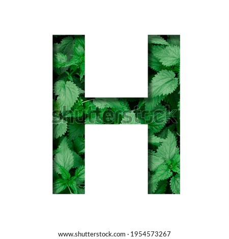 Font made of leaves, letter H, cut out of paper on a background of natural green nettle. Fresh young natural leaf volumetric Earth day font set.