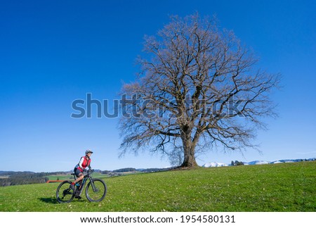 senior woman mountainbiking on a e-mountainbike in early spring below a huge old tree with snow covered Mount Hochgrat in background, in the Allgaeu Area, a part of the bavarian alps,Germany