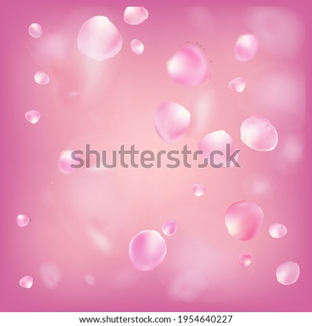 Rose Petals Flying Confetti. Blooming Cosmetics Ad Noble Floral Background. Female Rich VIP Watercolor Pattern. Windy Leaves Confetti Border. Falling Japanese Rose Cherry Sakura Petals Poster.