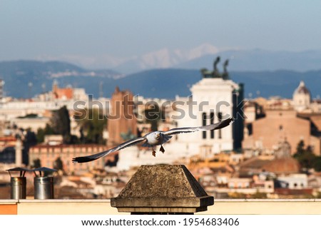 Panorama on the city of Rome, Altare della Patria, roofs, churches and domes and in the distance mountains in the north east area of ​​the city.