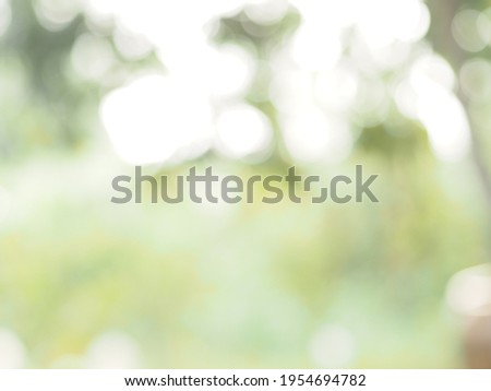 blurred for Abstract natural bokeh sunlight background tree stock photo