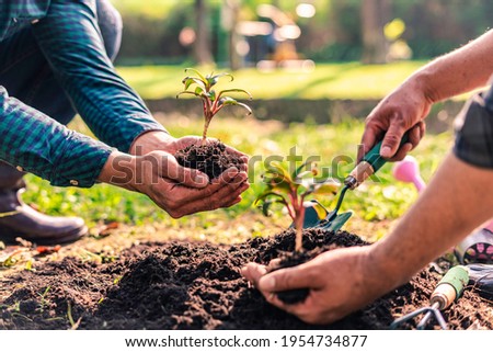 World environment day afforestation nature and ecology concept The male volunteer are planting seedlings and trees growing in the ground while working to save Earth, Earth Day. Royalty-Free Stock Photo #1954734877