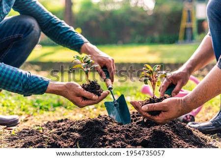 World environment day afforestation nature and ecology concept The male volunteer are planting seedlings and trees growing in the ground while working to save Earth, Earth Day. Royalty-Free Stock Photo #1954735057