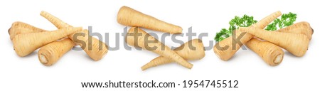 Parsnip root and slices with parsley isolated on white background closeup, Set or collection Royalty-Free Stock Photo #1954745512