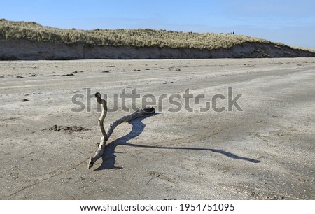 Driftwood that looks like two legs on the sand in Seapoint beach in Termonfeckin, County Louth, Ireland.  Royalty-Free Stock Photo #1954751095