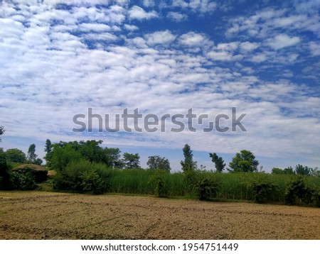 This is an awesome picture of fields having a beautiful and attractive greenery. It has also outlook of clouds which are multiplying the level of this natural view.