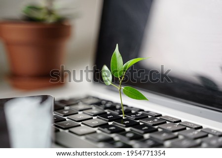Laptop keyboard with plant growing on it. Green IT computing concept. Carbon efficient technology. Digital sustainability  Royalty-Free Stock Photo #1954771354