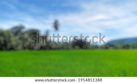 Defocused abstract background of a view of a rice field landscape with mountain background, beautiful for a book cover, wallpaper, banner, and poster.