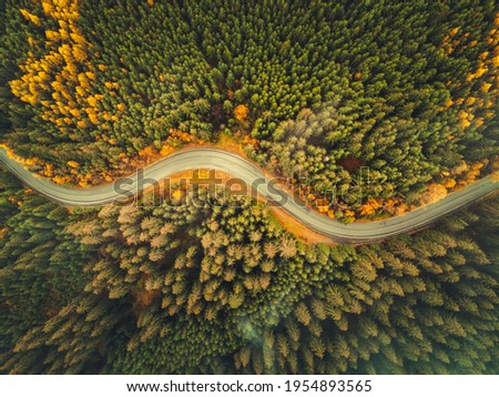 Aerial top view of misty forest with road in the mountains. Drone photography. Rainforest ecosystem and healthy environment concept. 