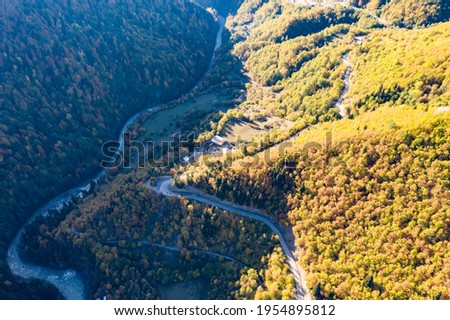 Road in the mountains, autumn forest
