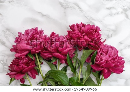 Red peony flowers on marble stone table with copy space. Natural summer blooms top view. Flowery holiday background.