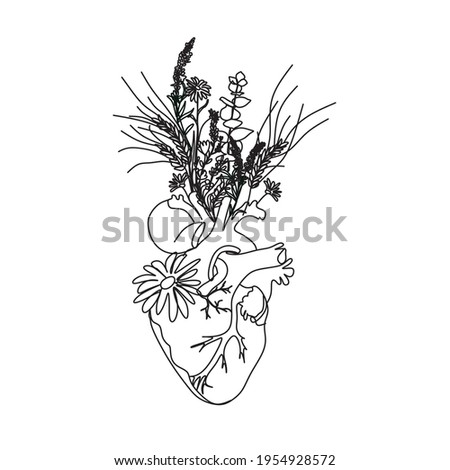 Human heart with flowers. Vector one line drawing.Medical art print. Blooming anatomical human heart. Anatomical Heart line art illustration.