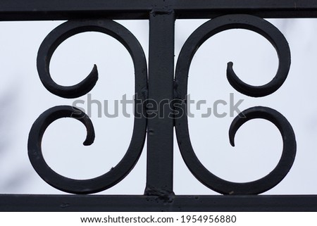 graceful fragment of an modern iron fence, monogram