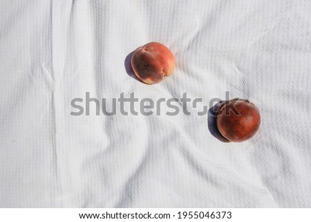 still life fruit and food in nature glade picnic tablecloth