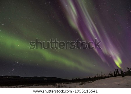 Aurora borealis ribbons in the sky above wild lands