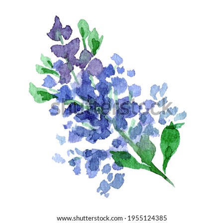 Sprig of lilac painted watercolor clip art