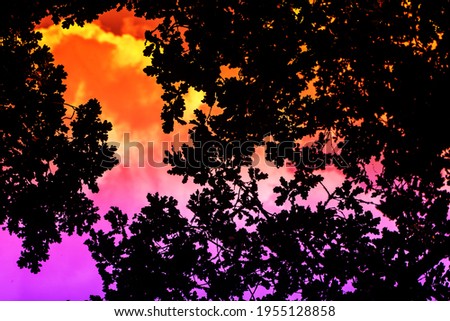 Black silhouette of a tree on orange to violet gradient background, summer sky during the heat. Stoner, sludge concept.