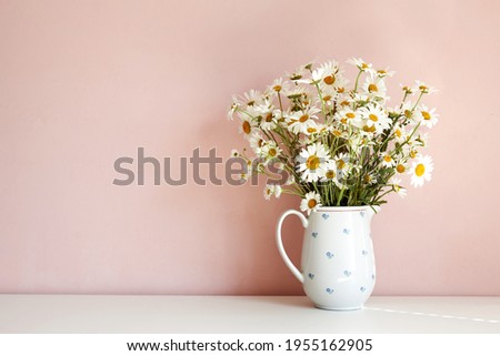Front view of white daisy flowers in vase on table against empty pink blank wall with copy space for your advertisement, design, template or information. Interior, summer and decoration concept