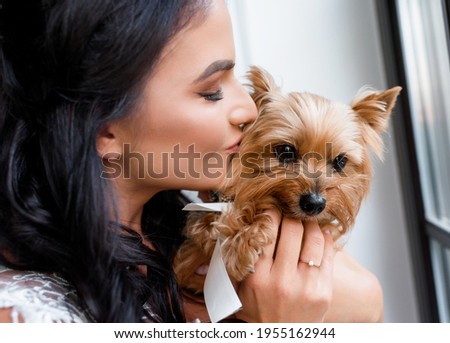 Close up of beautiful brunette bride holds in her arms and kisses a yorkshire terrier. Concept of bride morning