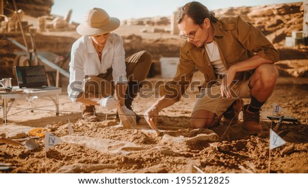 Archaeological Digging Site: Two Great Paleontologists Cleaning Newly Discovered of Dinosaur. Archeologists on Excavation Site Discover Fossil Remains of New Species Skeleton. Close-up Focus on Hands Royalty-Free Stock Photo #1955212825