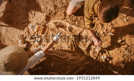 Top-Down View: Two Great Paleontologists Cleaning Newly Discovered Dinosaur Skeleton. Archeologists Discover Fossil Remains of New Species. Archeological Excavation Digging Site. Royalty-Free Stock Photo #1955212849