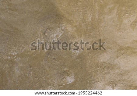 Natural wet soil with sunlight.  The natural art background and other artworks.