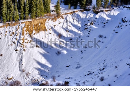Interestingly shaped shadows cast by a number of fir trees on the snow in a mountain valley in the winter season